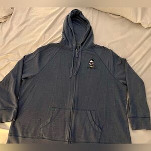 Disney Parks Lightweight Hoodie 2x
